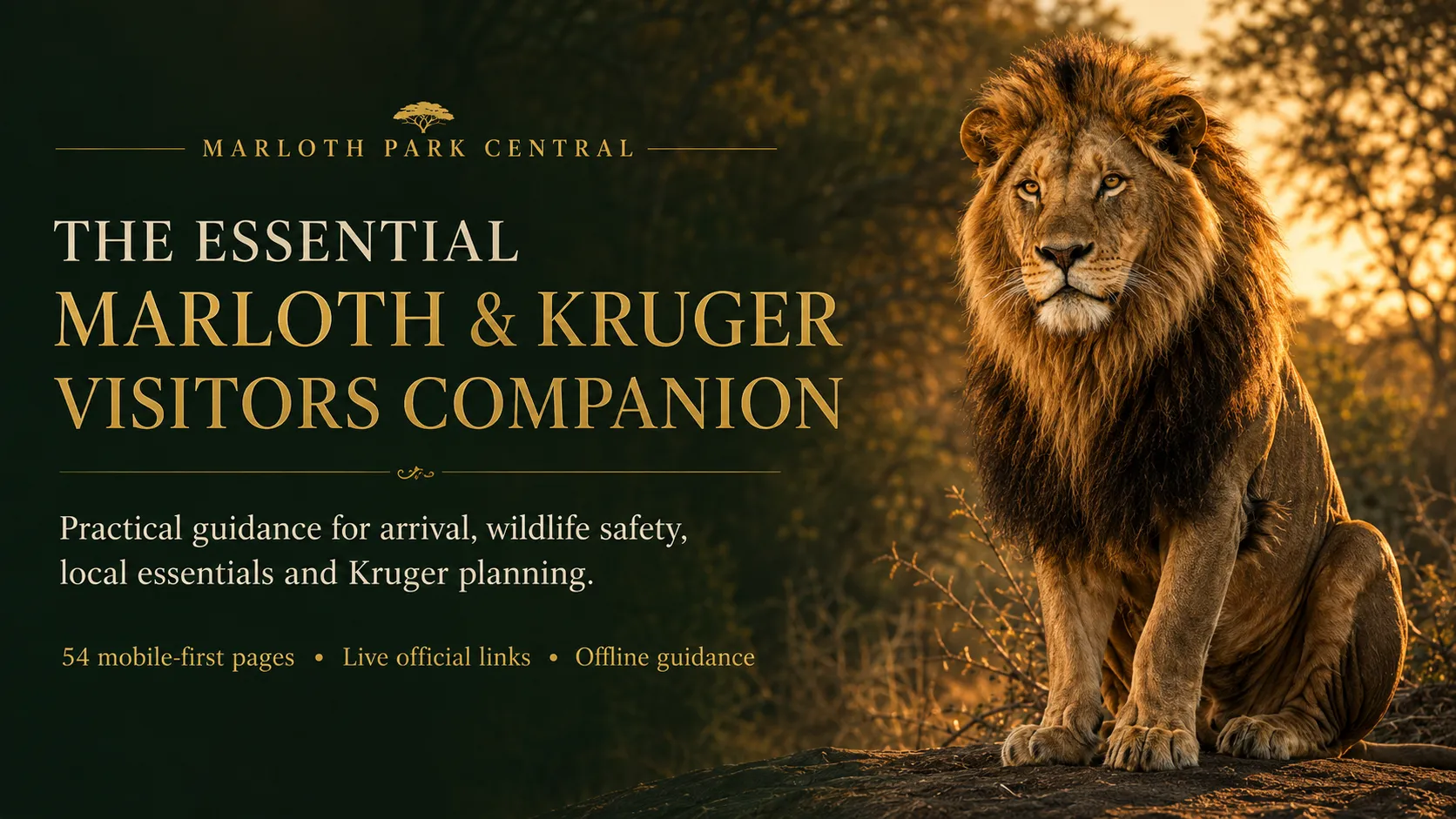 The Essential Marloth and Kruger Visitors Companion cover featuring a lion at sunset
